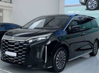 BYD M9 Carnewschina