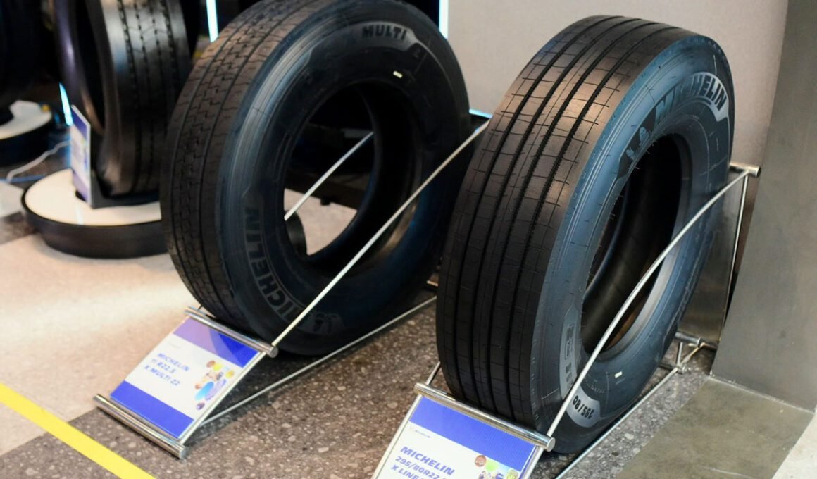 ban Michelin multi X line energy