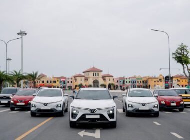 Vinfast vietnam market