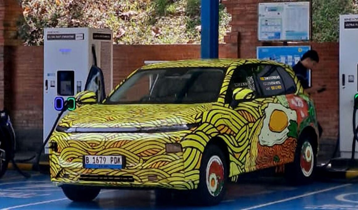 Leapmotor B10 Camo Indonesia