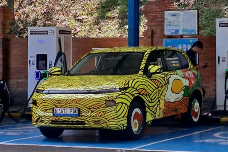 Leapmotor B10 Camo Indonesia
