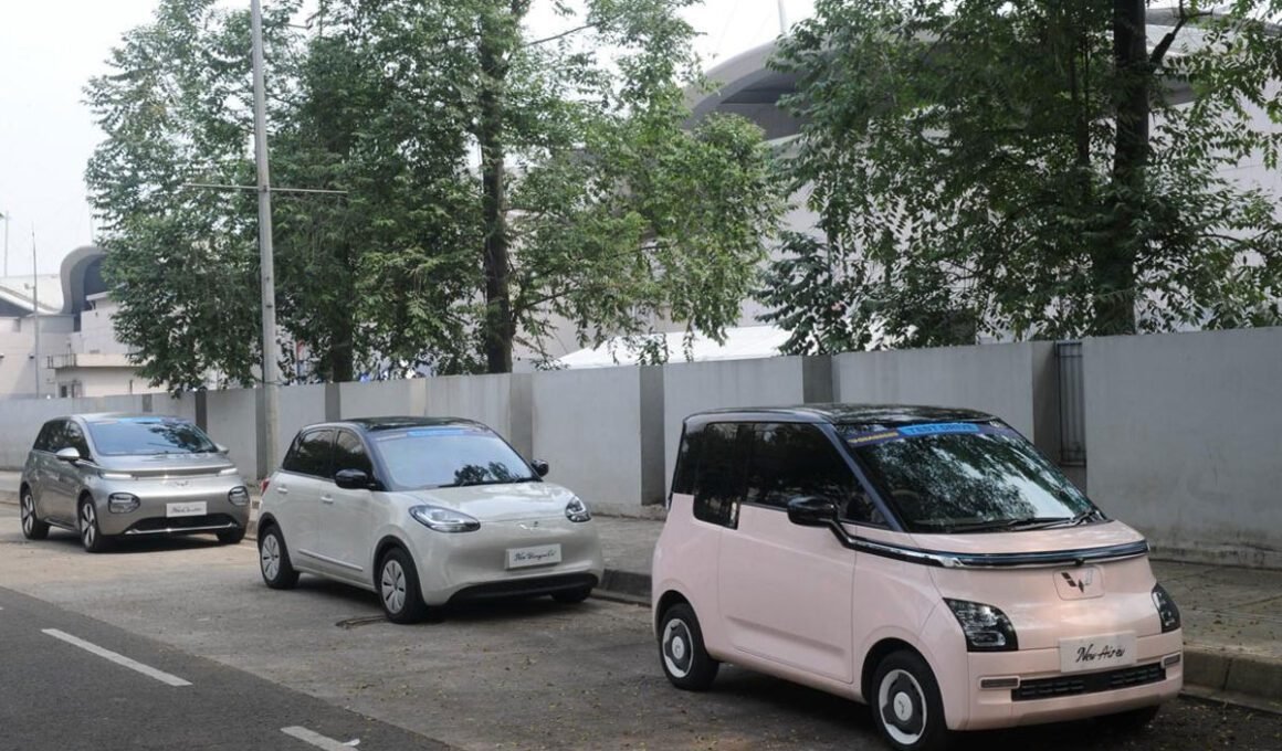 Wuling Cloud EV Binguo ev Air EV