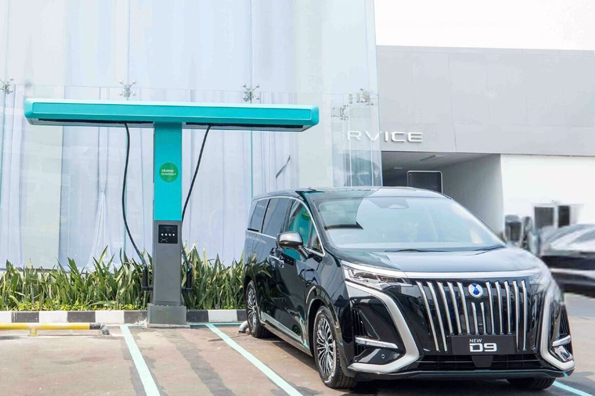 BYD Danza Indonesia Flash Charging