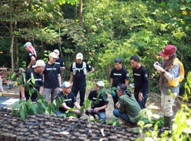 Bridgestone Indonesia Rise 2026